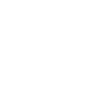 New Skoda