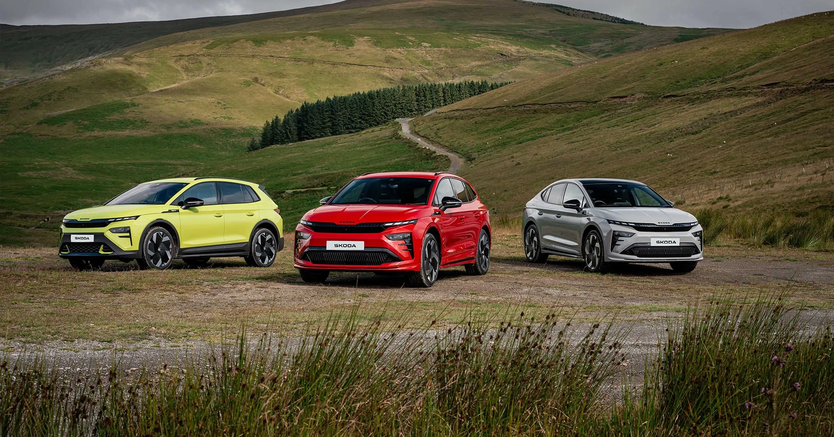 Used Cars
